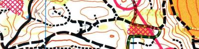 ÖM Langdistanz, 4. MTBO Austria Cup (2025-06-15)