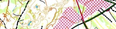 MTBO5days E4 (05.07.2025)